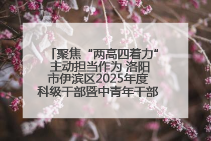 聚焦“两高四着力” 主动担当作为 洛阳市伊滨区2025年度科级干部暨中青年干部培训班开班