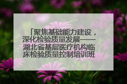 聚焦基础能力建设，深化检验质量发展——湖北省基层医疗机构临床检验质量控制培训班（孝感站）成功举办