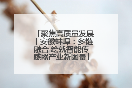 聚焦高质量发展丨安徽蚌埠：多链融合 绘就智能传感器产业新图景