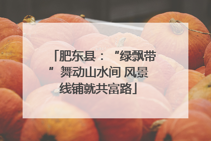 肥东县：“绿飘带”舞动山水间 风景线铺就共富路