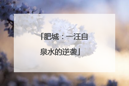肥城：一汪自泉水的逆袭
