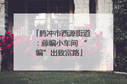 腾冲市西源街道：藤编小车间 “编”出致富路
