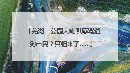 芜湖一公园大喇叭辱骂遛狗市民？真相来了……