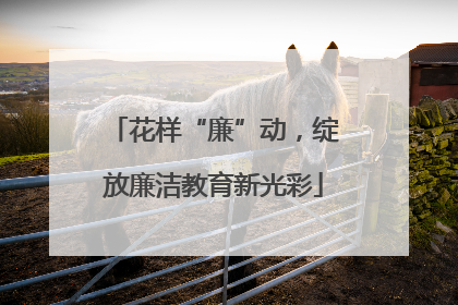 花样“廉”动，绽放廉洁教育新光彩