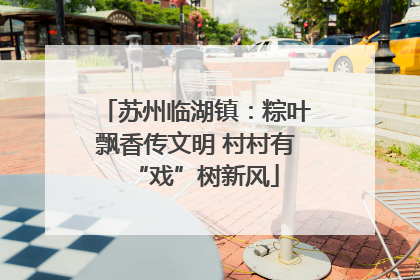 苏州临湖镇：粽叶飘香传文明 村村有“戏”树新风