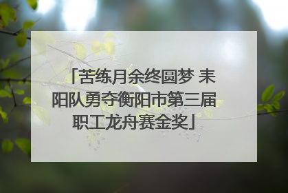 苦练月余终圆梦 耒阳队勇夺衡阳市第三届职工龙舟赛金奖