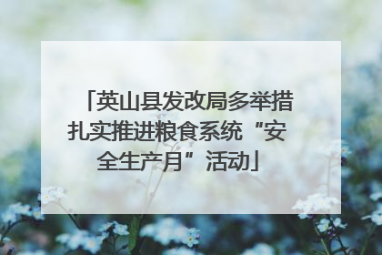 英山县发改局多举措扎实推进粮食系统“安全生产月”活动