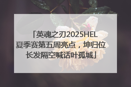 英魂之刃2025HEL夏季赛第五周亮点，坤归位长发隔空喊话叶孤城