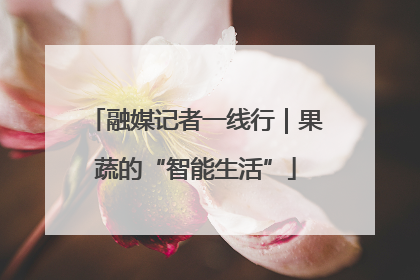 融媒记者一线行｜果蔬的“智能生活”
