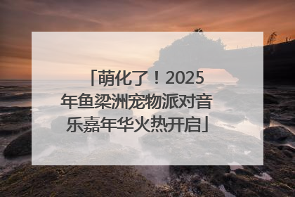 萌化了！2025年鱼梁洲宠物派对音乐嘉年华火热开启