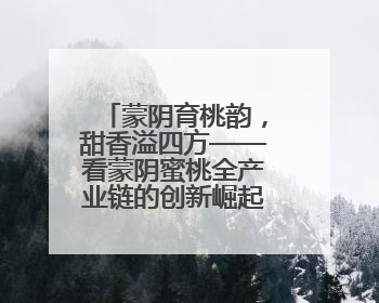 蒙阴育桃韵，甜香溢四方——看蒙阴蜜桃全产业链的创新崛起之路