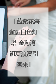 蓝紫花海邂逅白色灯塔 金海湾初夏浪漫引客来