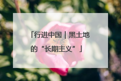 行进中国｜黑土地的“长期主义”
