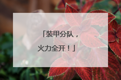 装甲分队，火力全开！