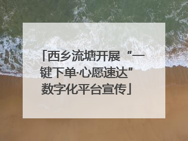 西乡流塘开展“一键下单·心愿速达”数字化平台宣传