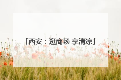 西安：逛商场 享清凉
