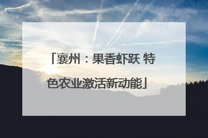 襄州：果香虾跃 特色农业激活新动能
