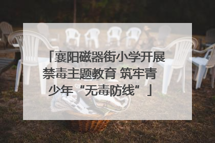 襄阳磁器街小学开展禁毒主题教育 筑牢青少年“无毒防线”