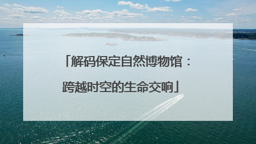 解码保定自然博物馆：跨越时空的生命交响