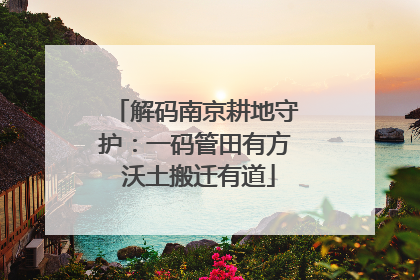 解码南京耕地守护：一码管田有方 沃土搬迁有道