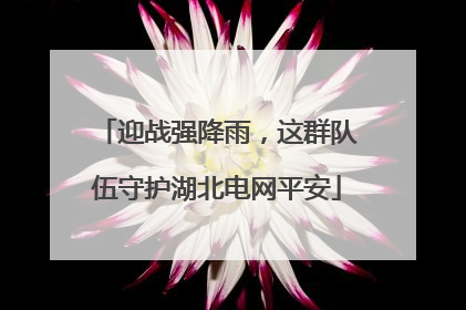 迎战强降雨，这群队伍守护湖北电网平安