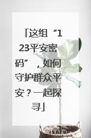 这组“123平安密码”，如何守护群众平安？一起探寻