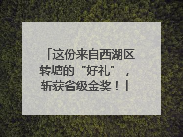这份来自西湖区转塘的“好礼”，斩获省级金奖！