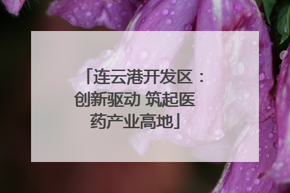连云港开发区：创新驱动 筑起医药产业高地