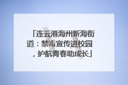 连云港海州新海街道：禁毒宣传进校园，护航青春助成长
