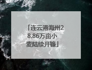 连云港海州28.86万亩小麦陆续开镰