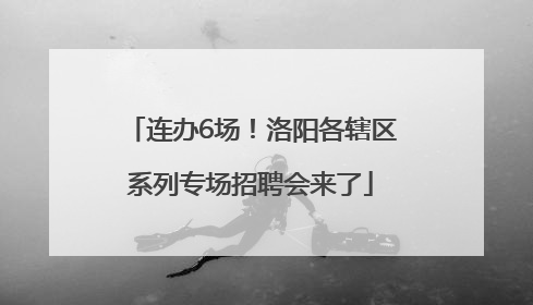 连办6场！洛阳各辖区系列专场招聘会来了