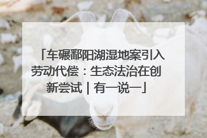 车碾鄱阳湖湿地案引入劳动代偿：生态法治在创新尝试｜有一说一