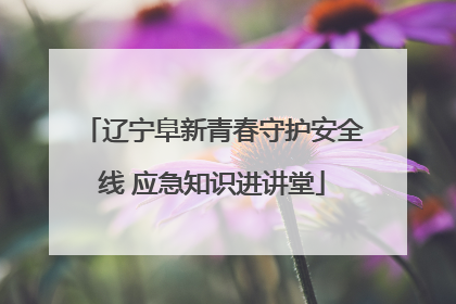 辽宁阜新青春守护安全线 应急知识进讲堂