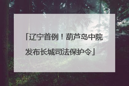 辽宁首例！葫芦岛中院发布长城司法保护令
