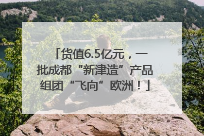 货值6.5亿元，一批成都“新津造”产品组团“飞向”欧洲！