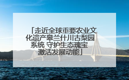 走近全球重要农业文化遗产皋兰什川古梨园系统 守护生态瑰宝 激活发展动能