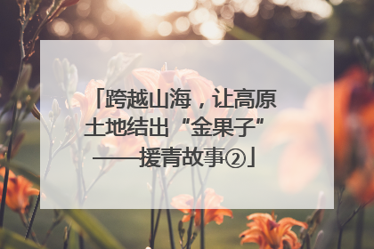 跨越山海，让高原土地结出“金果子”——援青故事②