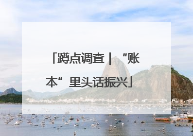 蹲点调查｜“账本”里头话振兴