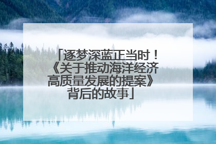 逐梦深蓝正当时！《关于推动海洋经济高质量发展的提案》背后的故事