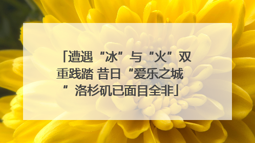 遭遇“冰”与“火”双重践踏 昔日“爱乐之城”洛杉矶已面目全非