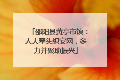 邵阳县黄亭市镇：人大牵头织安网，多力并聚助振兴
