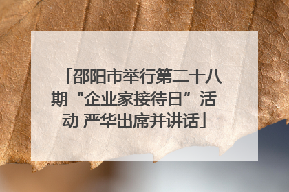 邵阳市举行第二十八期“企业家接待日”活动 严华出席并讲话