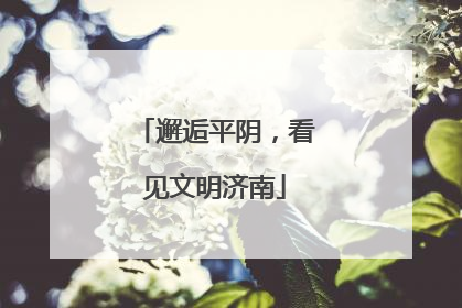 邂逅平阴，看见文明济南