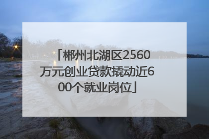 郴州北湖区2560万元创业贷款撬动近600个就业岗位