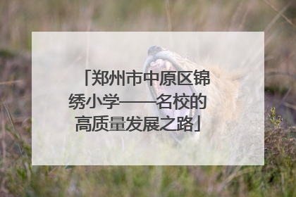 郑州市中原区锦绣小学——名校的高质量发展之路