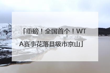 重磅！全国首个！WTA赛事花落县级市京山