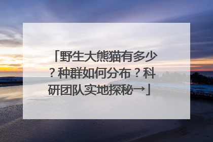 野生大熊猫有多少？种群如何分布？科研团队实地探秘→