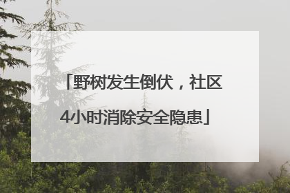 野树发生倒伏，社区4小时消除安全隐患