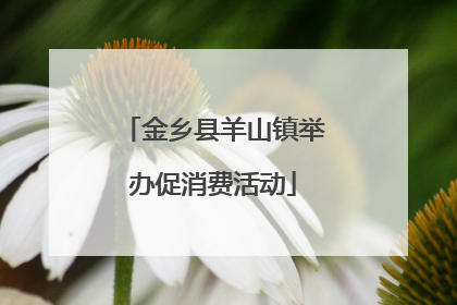 金乡县羊山镇举办促消费活动