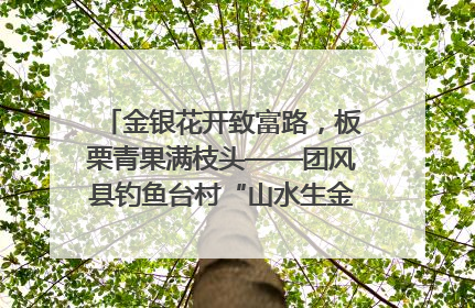 金银花开致富路，板栗青果满枝头——团风县钓鱼台村“山水生金”谱写共富新篇章